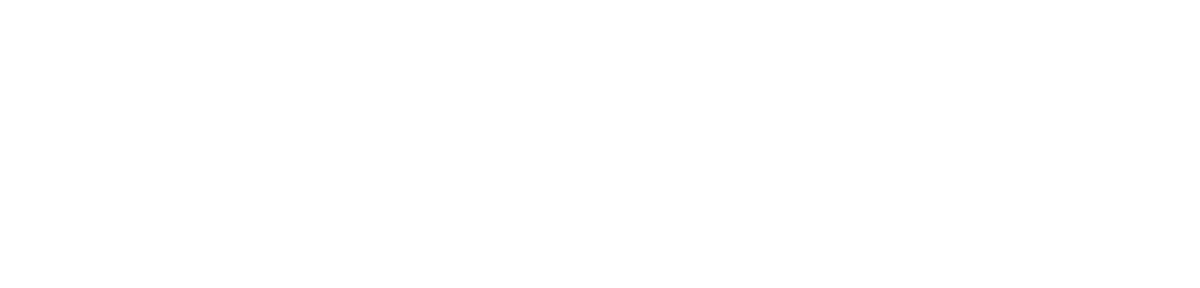 Mega Financing & Management Ltd.